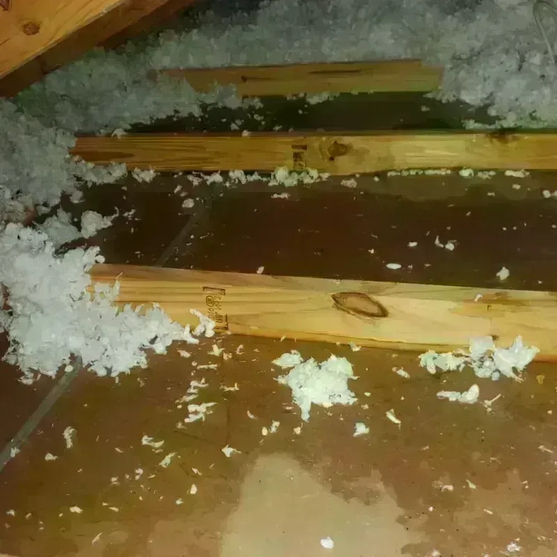 Attic Water Damage in Auburn, GA