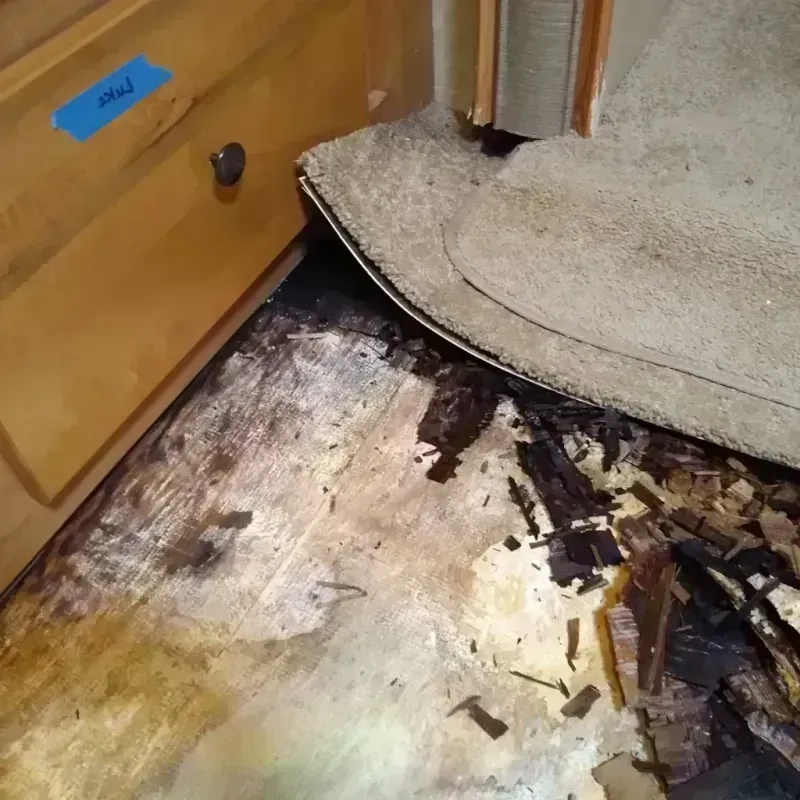 Wood Floor Water Damage in Auburn, GA